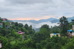 Scenic view of misty hills and lush greenery in Dharampur, near Kasauli – a perfect peaceful getaway