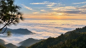 Winter mountain views in Kasauli with pine forests and a sea of clouds at sunrise