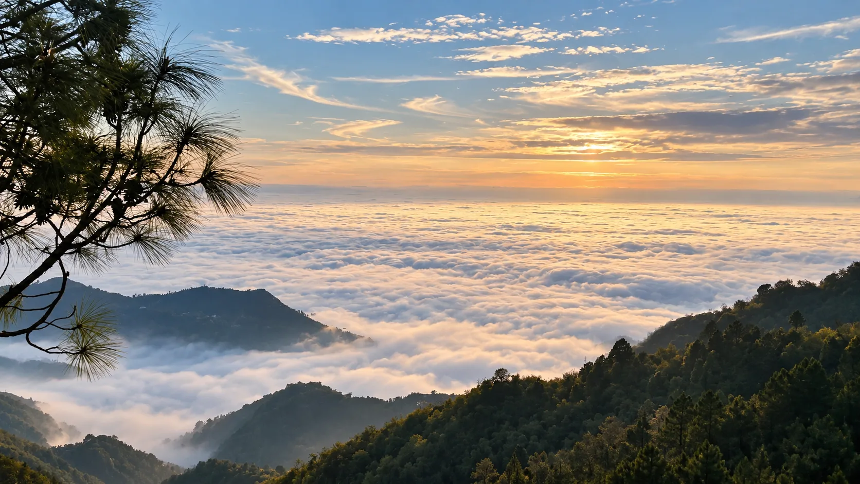 Winter mountain views in Kasauli with pine forests and a sea of clouds at sunrise
